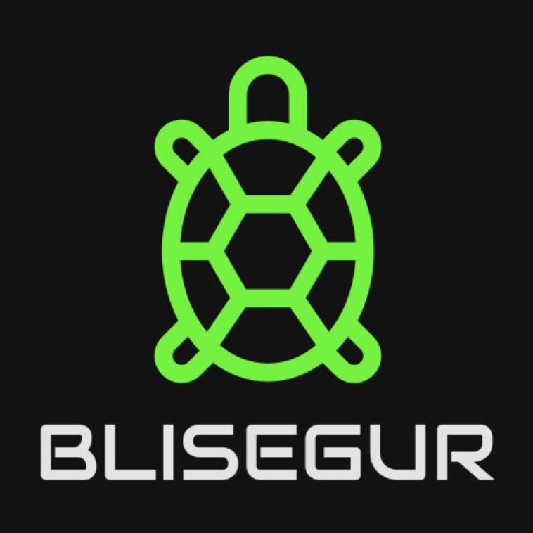 Blisegur Soluciones